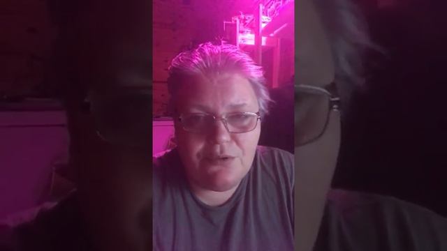 Стрим: отвечаю на вопросы школы травоведения смотреть онлайн