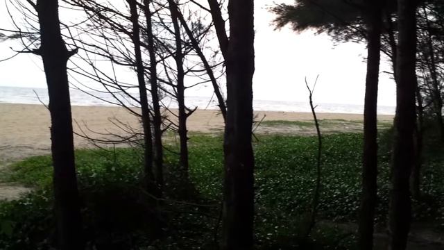 Hot beauty of arabian sea смотреть онлайн