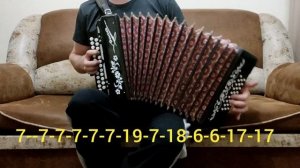 Белая берёза. Разбор на гармони. Сколько мы не виделись с тех пор, как будто вечность.