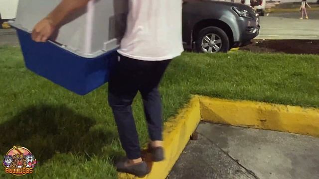 BULLGODS IMPORT JULY 2021 | SUPER GANDA NITO PROMISE FULL SUIT LILAC TAN ENGLISH BULLDOG смотреть онлайн