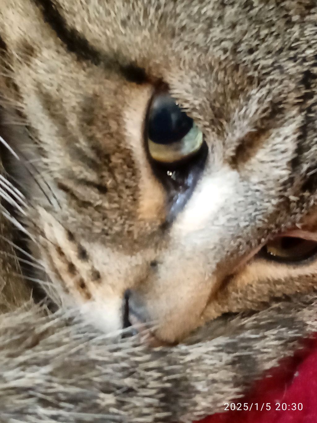 убираюсь смотреть онлайн