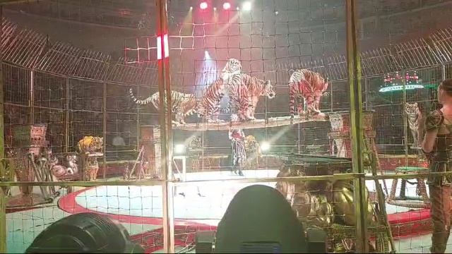 1000008662.mp4 смотреть онлайн