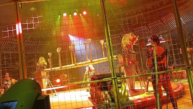 1000008635.mp4 смотреть онлайн