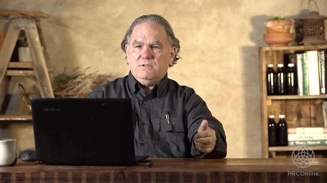 The Best Herbs for Gut Healing & Immunity | Mini-lesson with Paul Bergner смотреть онлайн