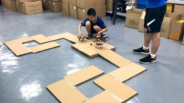 Petoi Nybble | The Open-Source Robot Cat Showdown | PetoiCamp смотреть онлайн