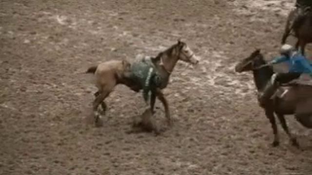 Кокпар смотреть онлайн