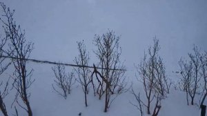 Чукотка Охота на гуся  Весна