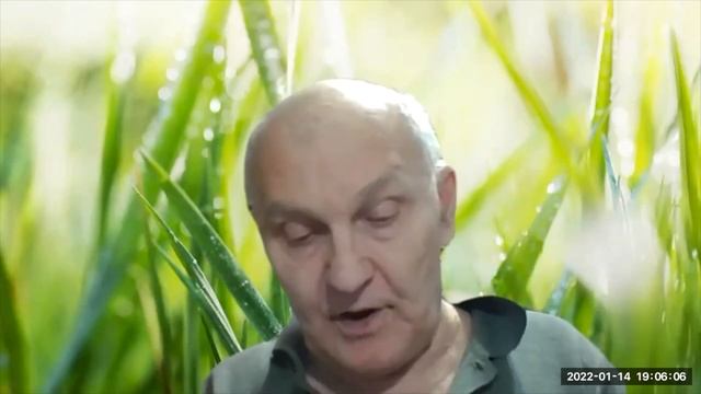 Леонид Чекалов - Особенности функционирования Сознания и IT технологии смотреть онлайн