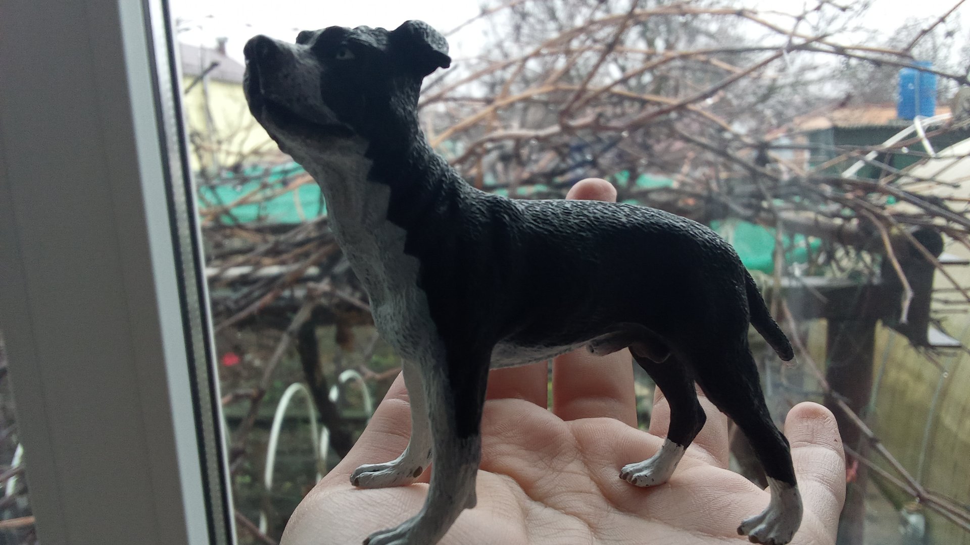 обзор фигурки collecta американского стафордширского терьера смотреть онлайн