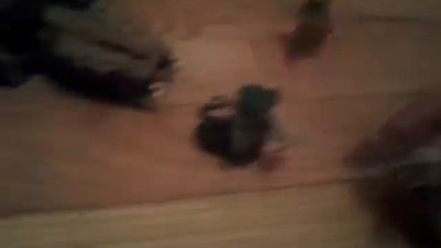 Lego Battles Ninjago The Youtube Series Part 3.5:The Retaliation Failure смотреть онлайн