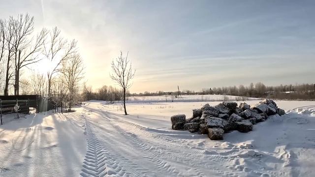 ПТИЦЫ ВСЕ УМЕРЛИ ! ОВЦЫ СДОХЛИ ! РЫБА УТОНУЛА, А ПОСТРОЙКИ РУХНУЛИ ! ХУТОР В ЛЕСУ №220 смотреть онлайн