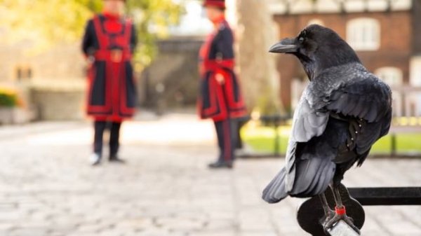 20 Fun Facts about Great Britain | Interesting Facts | TWOM