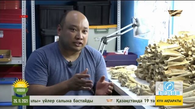 Руға бөліну қазақты керісінше біріктіруі керек – тарихшы смотреть онлайн