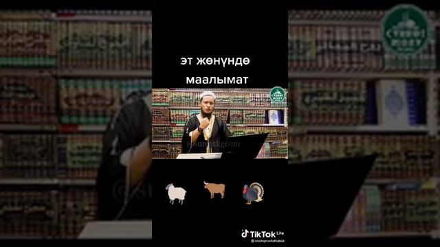 эн маанилуу создор эт жонундо смотреть онлайн