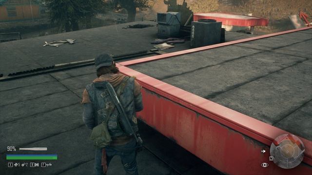 Days Gone 2025.01.13