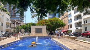 Мелодии Святой Земли | Регги  в Тель Авиве | Альбом Музыка Израиля 2  (Official Music Video)