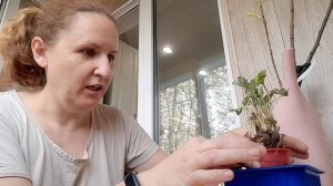 Честные отзывы: как доходят саженцы от Гарденмарт