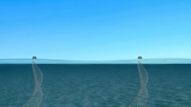 fish смотреть онлайн