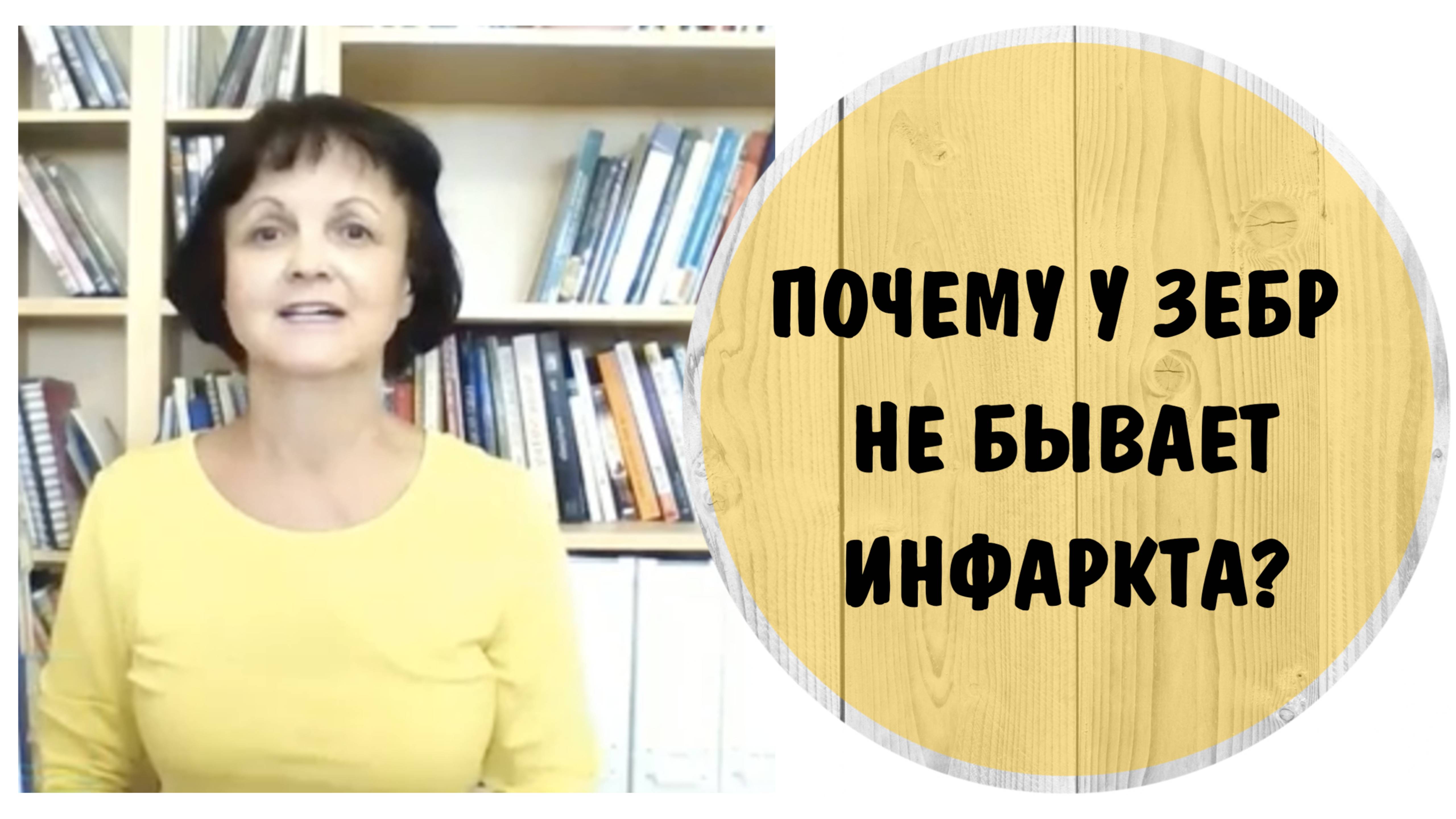 Стресс – это ваш друг * Часть 5 *  Почему у зебр не бывает инфаркта