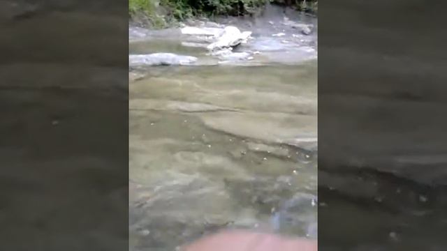 Мацеста река