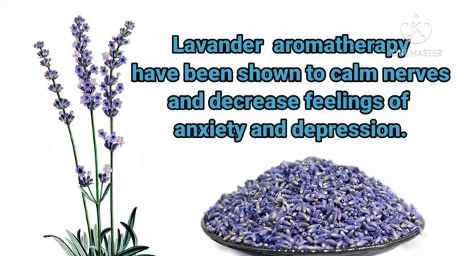 Amazing Health Benefits of Lavander Tea | very useful смотреть онлайн