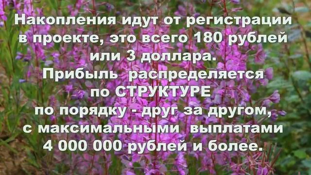 Возрождение Производства и Употребления Иван чая смотреть онлайн