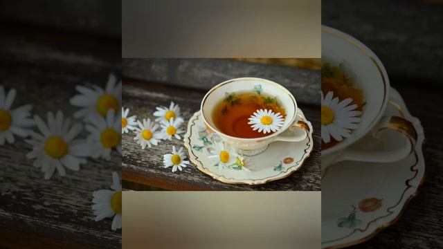 Вкус жызни смотреть онлайн