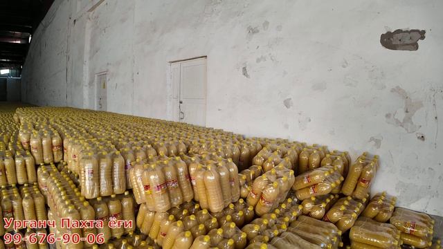 БУНДАЙ КАТТА МИҚДОРДА ПАХТА ЁҒИНИ КЎРГАНМИСИЗ? смотреть онлайн