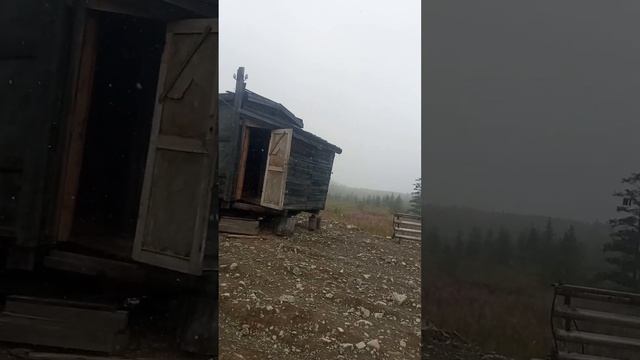Сезон 13 серия 22 Иван-чай в снегу смотреть онлайн