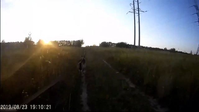 Прикладная следовая работа смотреть онлайн