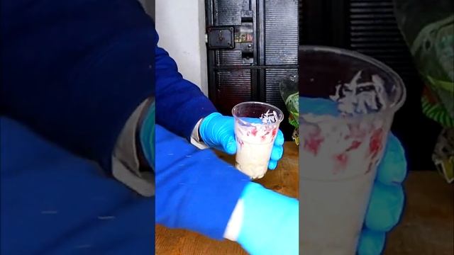 PANETTONE UCRAINA RUSSIA, CHARLI D'AMELIO 😨 смотреть онлайн