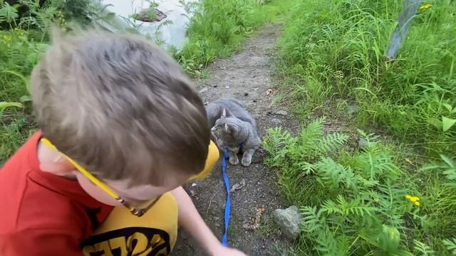 Норильск/Повезли кошку на дачу❤️ смотреть онлайн