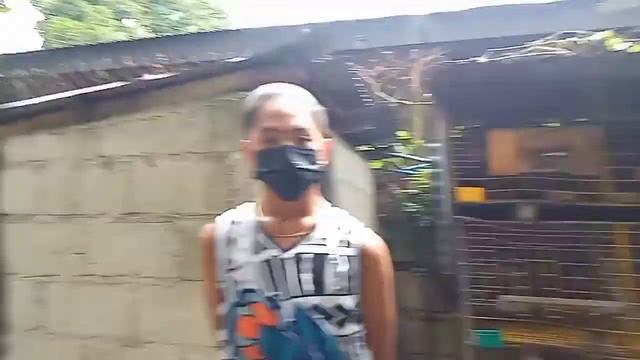 LOFT VISIT TAYO KAY BOSS DANIEL REYES✌️👊🕊️💞#kalapatids #pigeonracing #happyflying смотреть онлайн