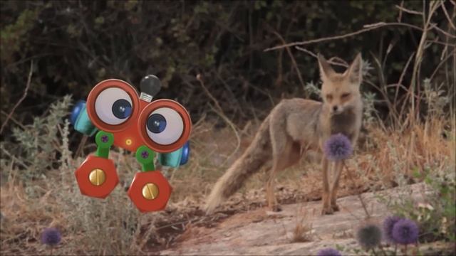 Learn About Dogs & Animals For Kids With Robi | Animals Names & Sounds | Wild Animals For Children