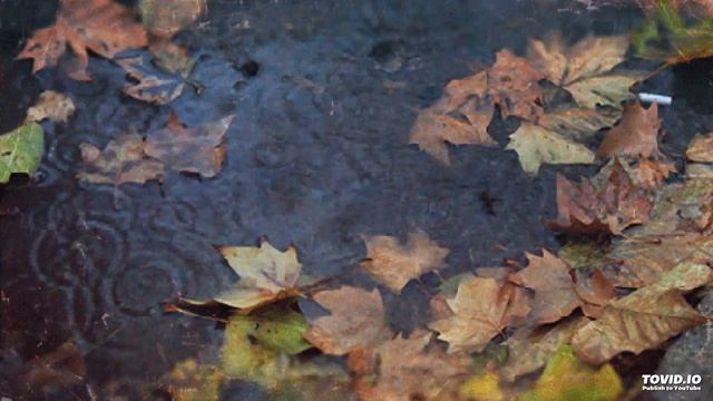 Vintage.beat-I CAN ONLY BLAME