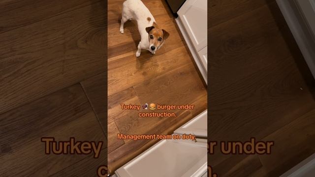 Turkey 🦃 🍔 burger under construction. Management team on duty. смотреть онлайн