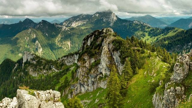 Вера. Автор Анна Вельк-Деер смотреть онлайн