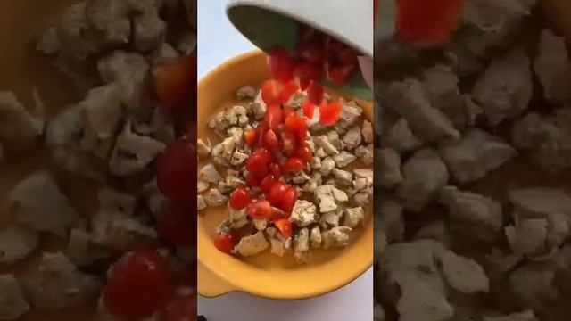 Gourmet Gallivanting