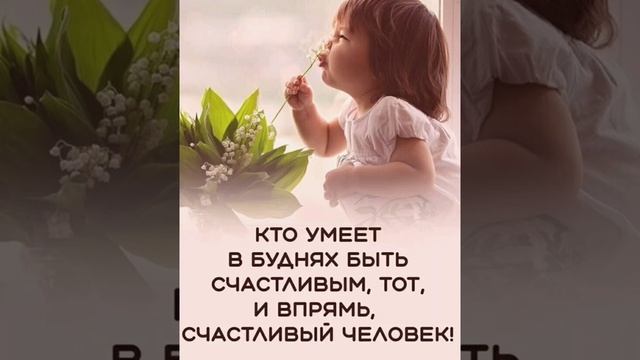 Счасливый человек! смотреть онлайн