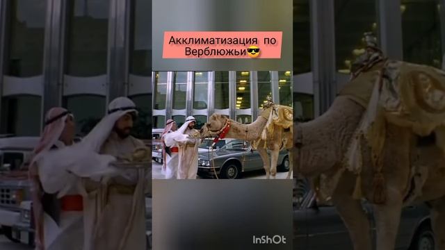 Шейх и верблюд. "На Дерибасовской хорошая погода, или На Брайтон-Бич опять идут дожди" (1992 год) смотреть онлайн
