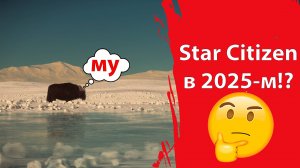 Star Citizen в 2025-м?!🤔