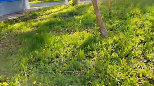Продаётся здание в городе Самаре Кировский район ул. Каховская , дом 39 . С землёй под зданием . смотреть онлайн