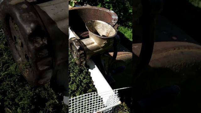 Иванчай.Способ заготовки смотреть онлайн