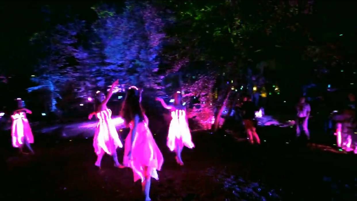 Celtic Spirit (Lyra) - Lord Of The Dance смотреть онлайн