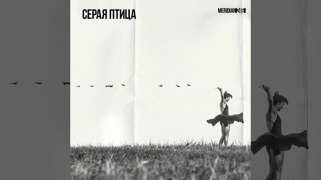 Серая Птица смотреть онлайн