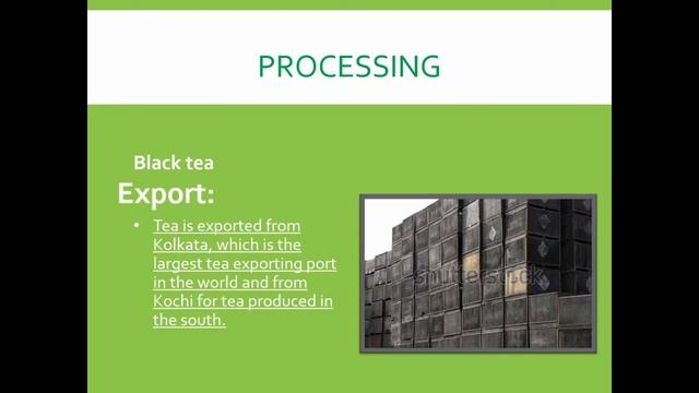 Processing of tea смотреть онлайн