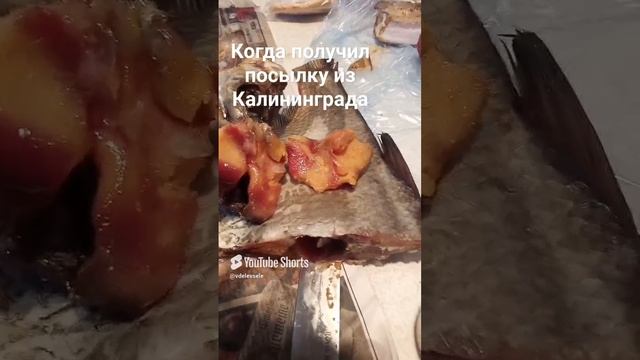 Калининградская 👍 смотреть онлайн