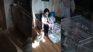 Бабушка с внуками  общается