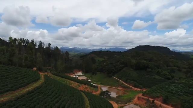 My coffee farm brasilrural.info смотреть онлайн