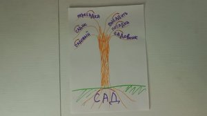 Что такое КОРЕНЬ слова. Как выделить корень. Как найти однокоренные слова.